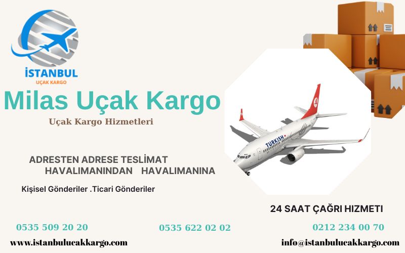 Milas Uçak Kargo